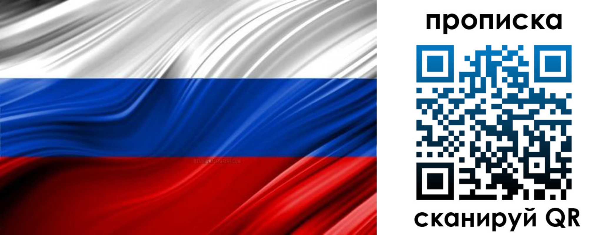 прописка для школы в Зверево